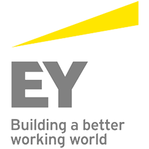 industry partner for placement ernst and young